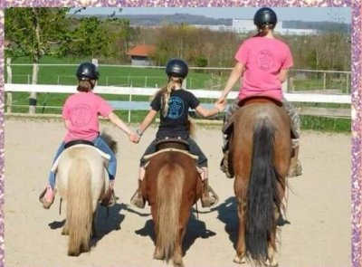 Pony Schnuppertag