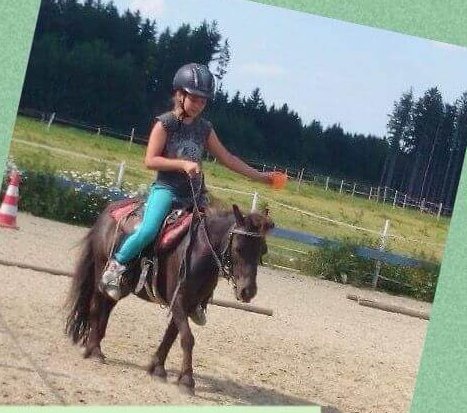 Pony Play Day